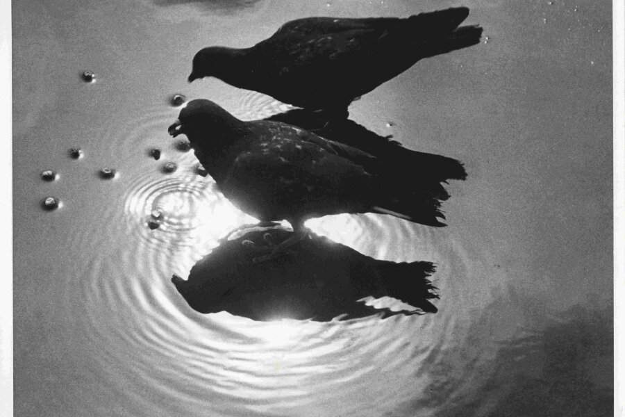 foto: Ernst Haas, 1964